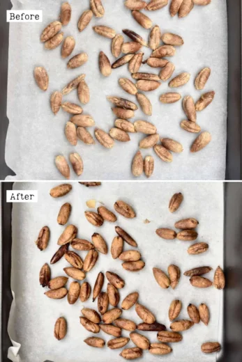 طريقة استخدام نواة التمر للشعر